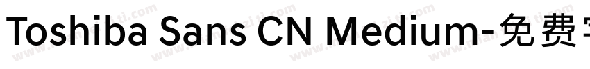 Toshiba Sans CN Medium字体转换